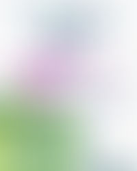 Kick Off of the EUI project GRID!