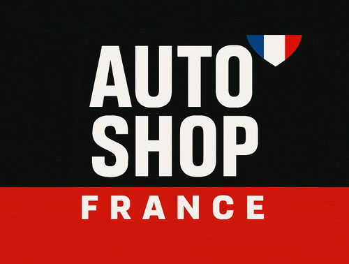 Kit Decalaminamento Bluechem France Per FAP Diesel - Bi-componenti, Pulizia Catalizzatore - Foto 5