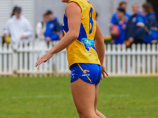 UTS Bats v East Coast Eagles