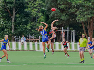 North Shore Bombers v Parramatta Goannas