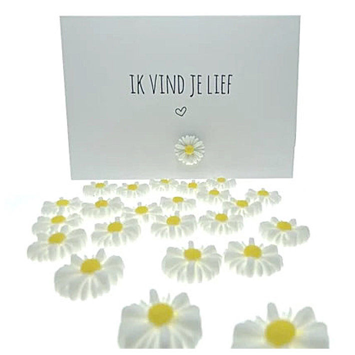 Kaartpin Daisy 3D