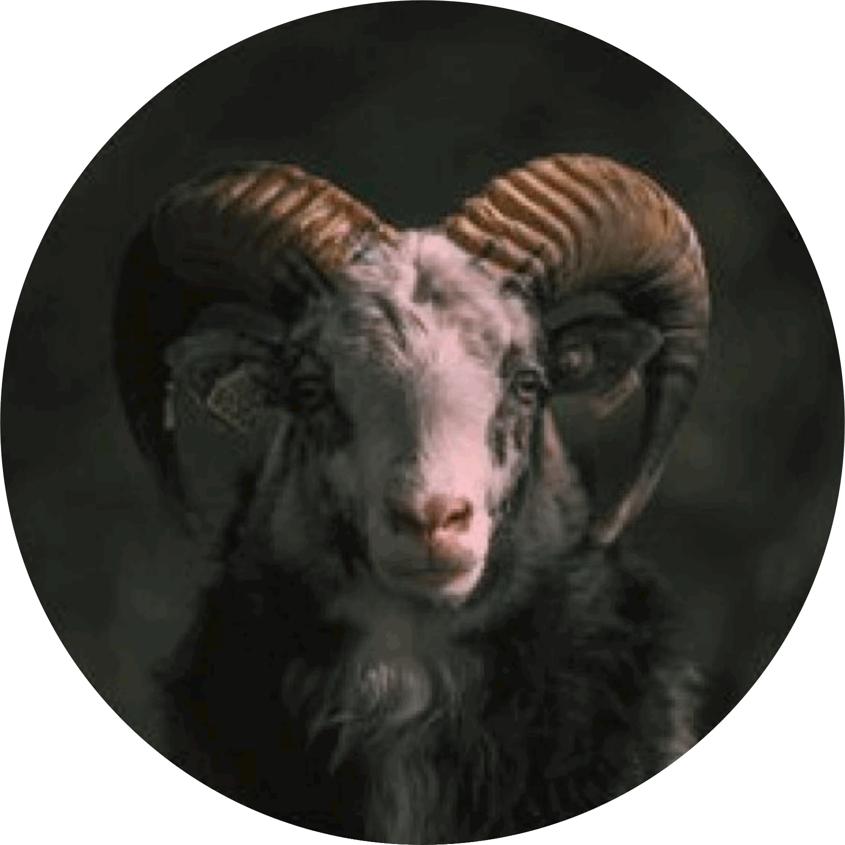 Muurcirkel Ram 50 cm