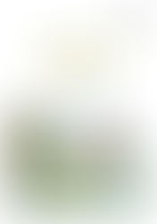 Geboortekaart & geboorteposter