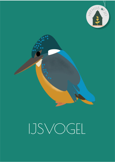 Into The Wild - IJsvogel