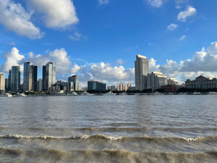 View of Bin Jiang