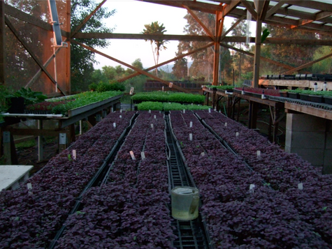 Featured Farmer: Tane and Maureen Datta, Adaptations