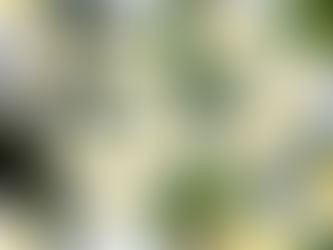 あなたにできることは、あなた以外の人にはできない