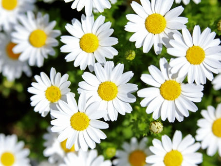 あなたにできることは、あなた以外の人にはできない