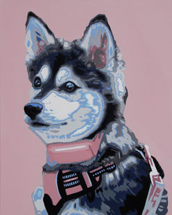 Husky.JPG