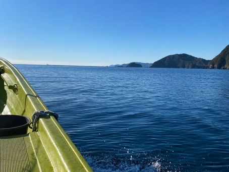 THE 釣果‼ 番外編