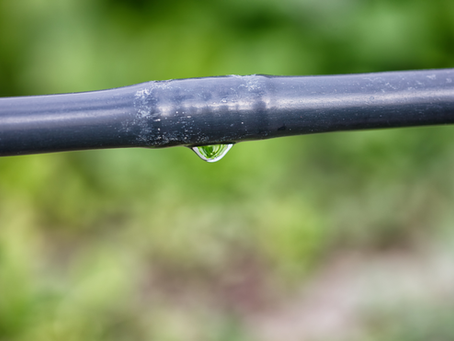 5 formas de garantir que a água usada na irrigação não esteja contaminada