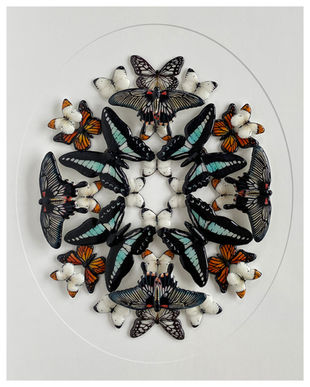 A symmetrical mandala made of realistic ceramic butterflies arranged in circular rows against a white background.