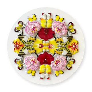 A circular artwork with a white background features a symmetrical floral and butterfly design radiating out from the center. The piece includes yellow, white, pink, and red orchids, along with several varieties of butterflies in a mirror-image pattern.