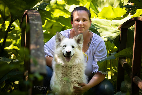 Je guide et j'éduque, Découvrez nos services d'éducation canine et de bien-être animal pour chiens à Pouzauges, en Vendée, et en ligne.