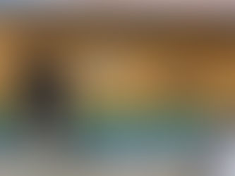 Ilegabilidad e impunidad el servicio de las Urban en la Costa-Itsmo