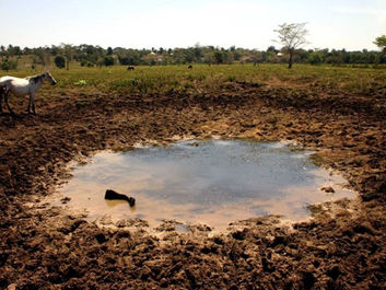 Al menos 179 municipios sufren por falta de agua en el Istmo de Tehuantepec