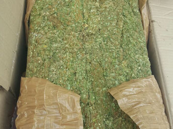 Decomisa Policía Federal 350 kilogramos de mariguana en autopista