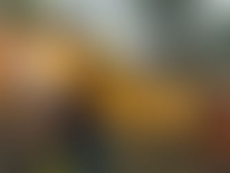 Incendios forestales en Oaxaca han consumido más de 7 mil hectáreas de superficie en este 2019