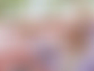 AMLO anuncia encuentro con maestros de Oaxaca