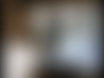 Ex líder de Morena pide a sus militantes vigilar casillas el 1 de julio