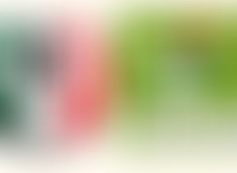 El Partido Verde le quita las primera fórmula al PRI para competir por el Senado en Oaxaca