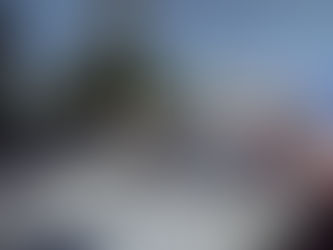 Con marcha UACOL inicia jornada de lucha; en Sedesol toma Sol Rojo