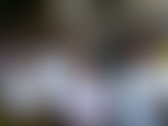 Raymundo Carmona denuncia uso de recursos ilegales para designar priistas en el PRD