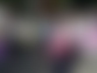 PSD también se va a tribunales para buscar su plurinominal