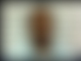 Francisco López Estrada pretende reelegirse como presidente del PAN en Tuxtepec