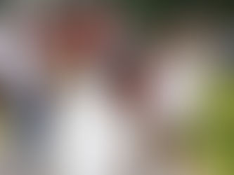 Genera impunidad frustración social