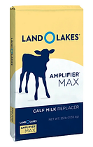 Screenshot 2025-07-09 at 2.43.15 PM.png