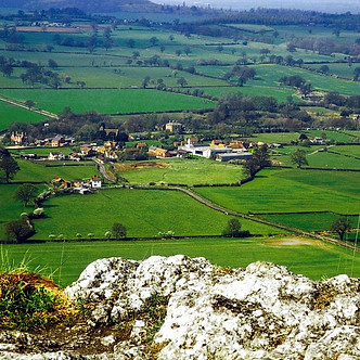 Shropshire Council 3.jpg