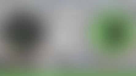 A Tripartite Model for Local Services?