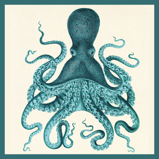 The Octopus Who Dismembered Love