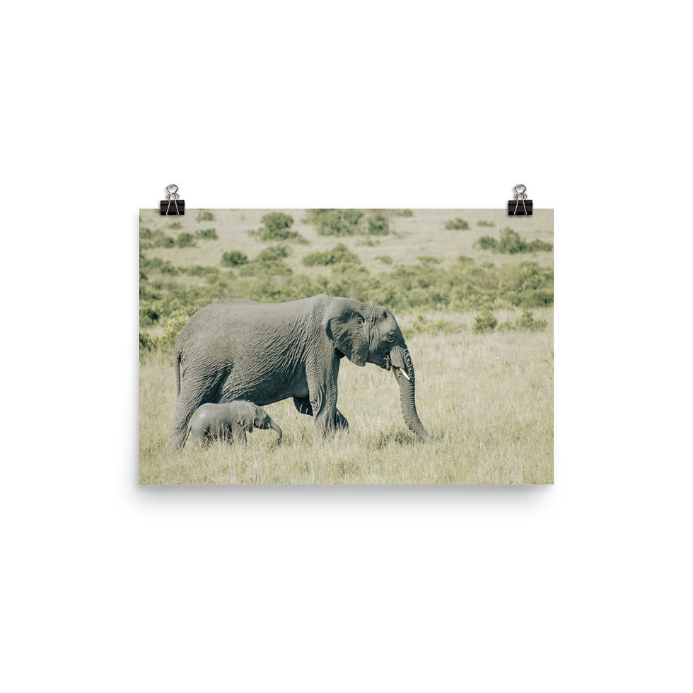 Thumbnail: Elephants in the Maasai Mara (2)