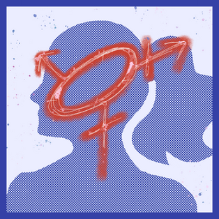 In My Opinion: Finding a Place for Transgender Women in Gendered Sports (and in Feminism)