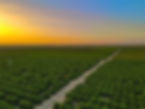 AdobeStock_459739170.jpeg