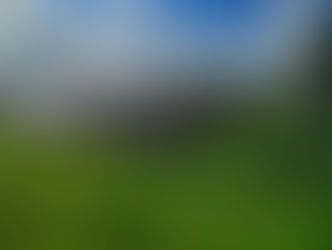 Pray for Trip to Ecuador