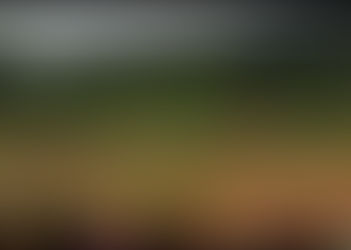 Dedication Celebration