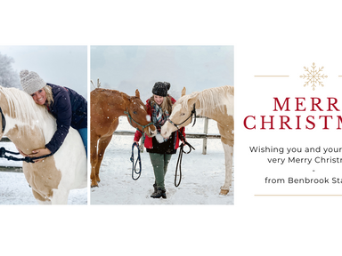 Merry Christmas From Benbrook Stables