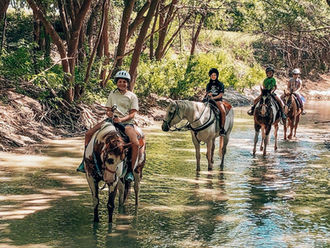 Benbrook Stables Riding Academy and Lesson Program