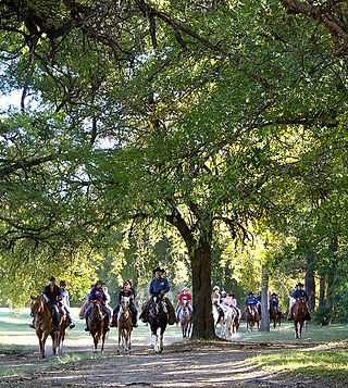 Best Horse Boarding Ft. worth, Horse boarding, Best boarding in Fort Worth Texas