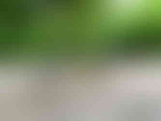 Benbrook Stables- Best Trail Ride Texas