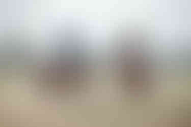 Adult Horseback Riding Lessons at benbrook Stables