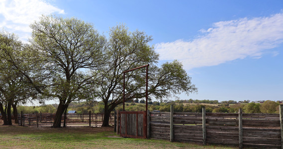 Community of horse lovers at Benbrook Stables boarding Fort Worth Texas