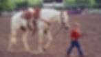 High angle view of the scenic trail at Benbrook Stables