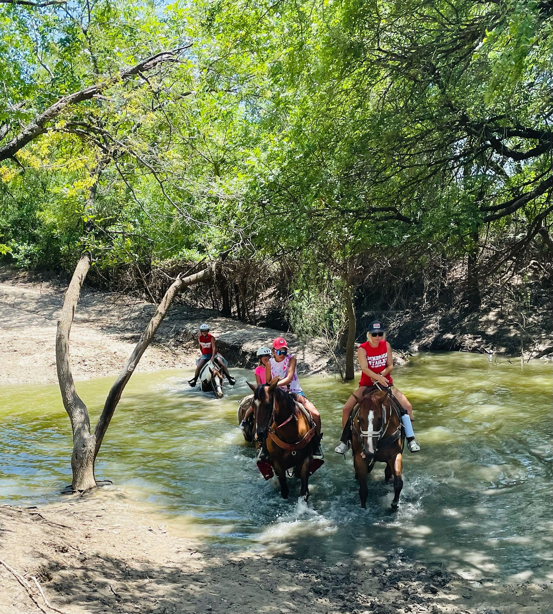 Horseback riding gift certificate experience at Benbrook Stables Fort Worth