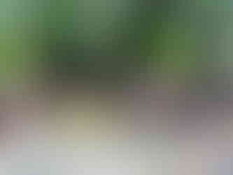 Benbrook Stables voted best Trail rides