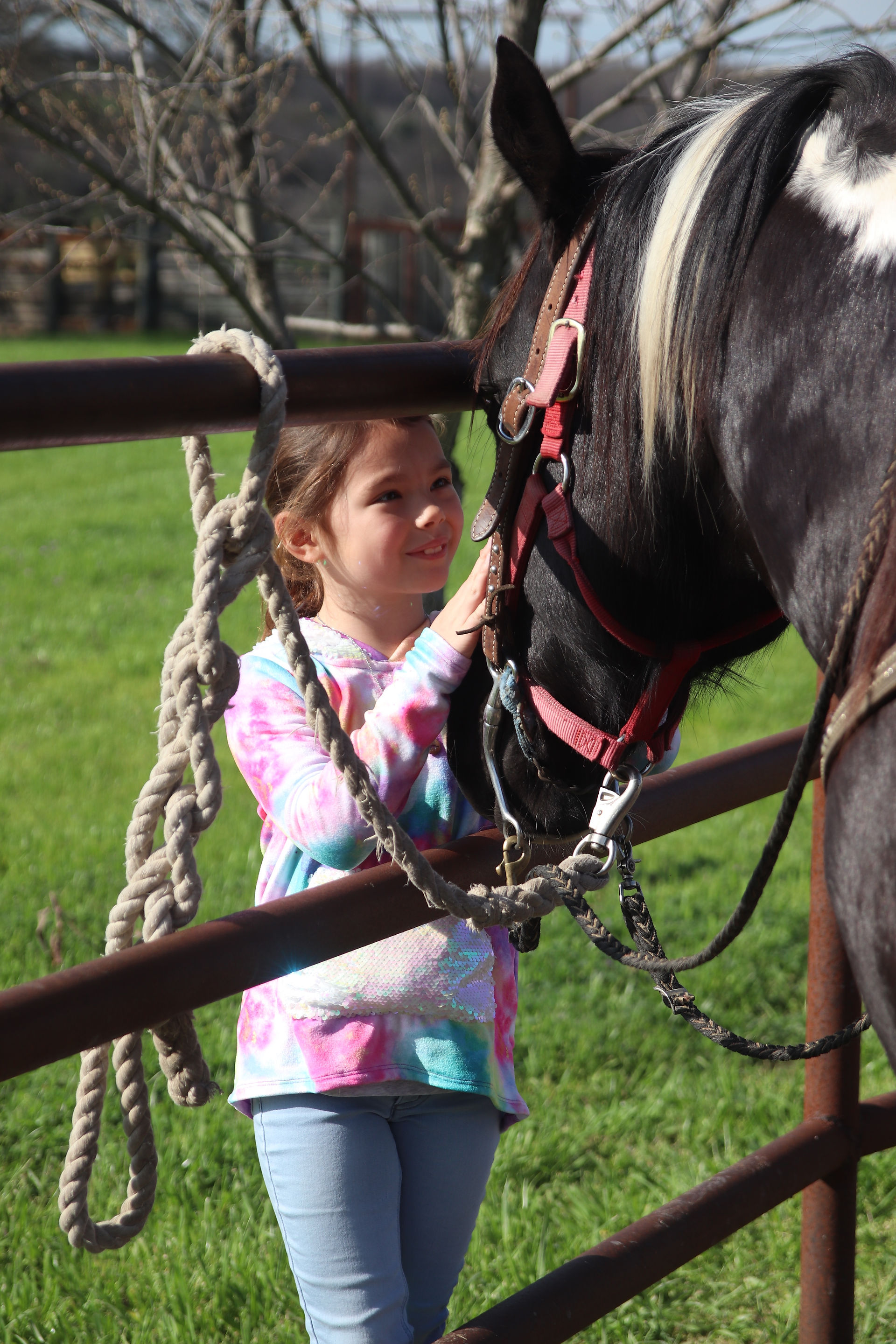 Benbrook Stables Horse Camp Fort Worth Texas Fall Camp for Kids Horse Back Riding Horsemanship All about horses and anatomy