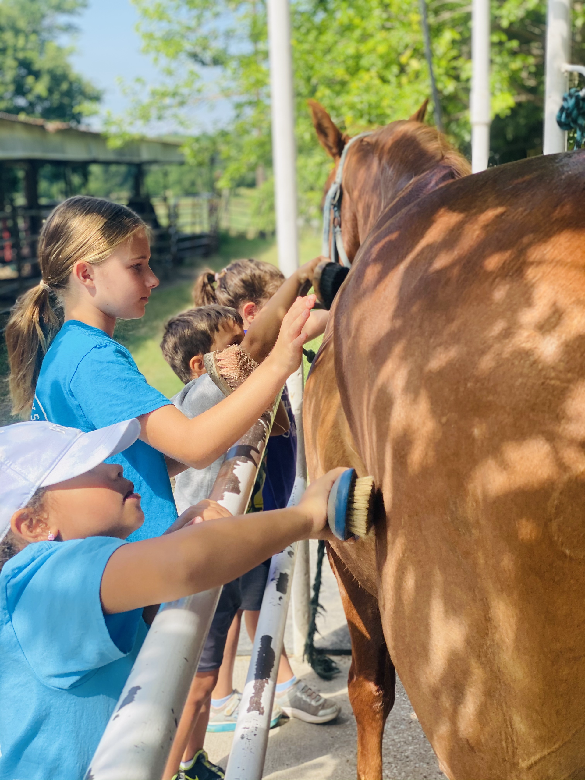 Kids grooming a horse while learning horsemanship at Spring Break Horse Camp in Fort Worth